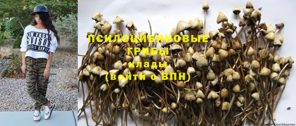 дурь Абаза