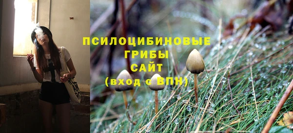 круглые Алзамай