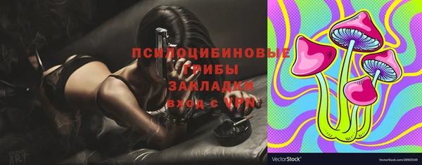 дурь Абаза