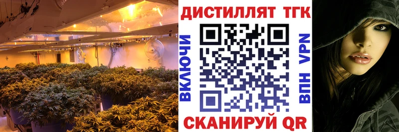 купить   Подпорожье  ТГК вейп с тгк 