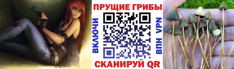 Галлюциногенные грибы мухоморы  хочу наркоту  Подпорожье 